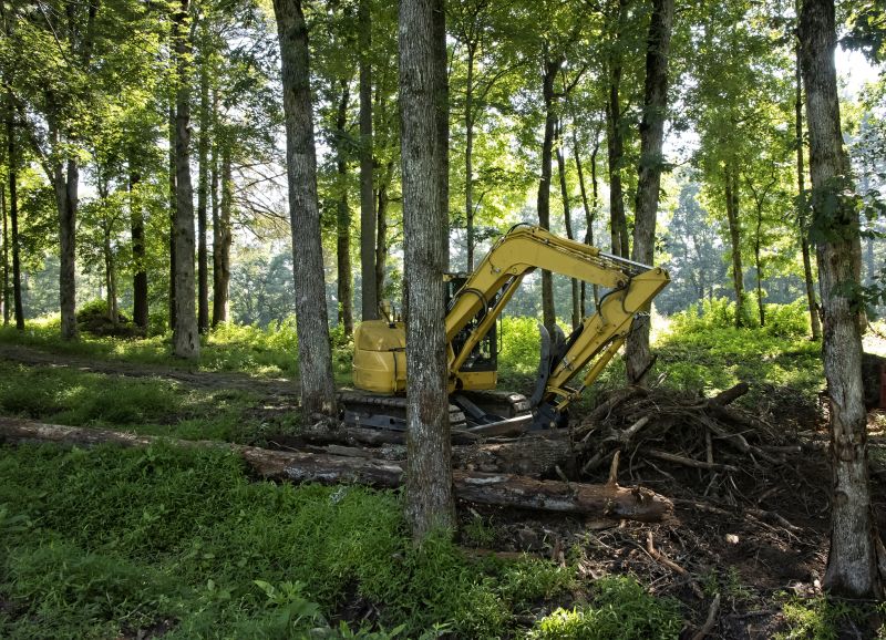 Brush Clearing Service in Katy, TX